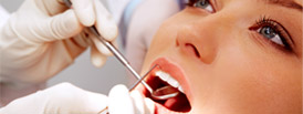 Dentist Services in New Plymouth
